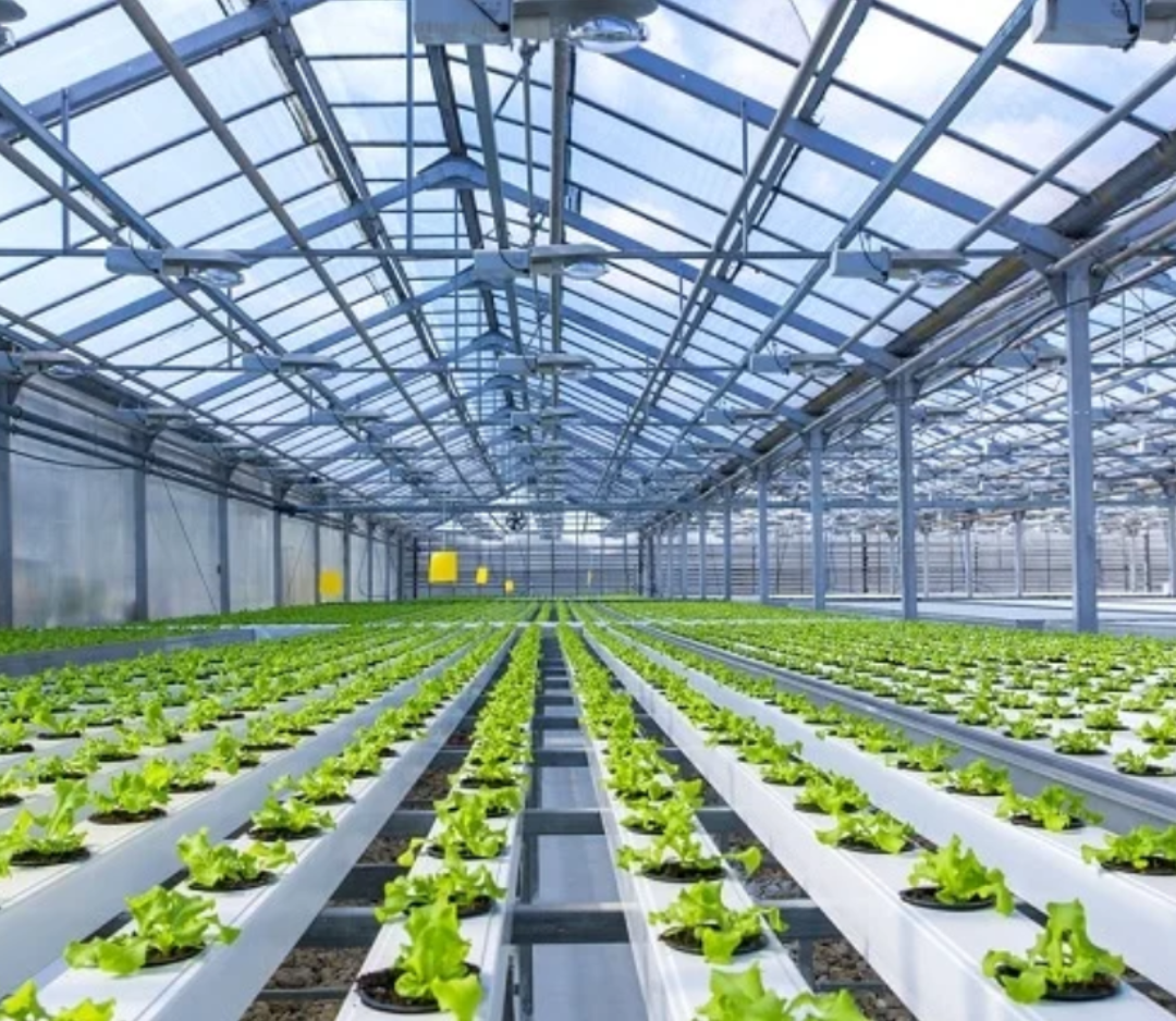 Farm Image 1
