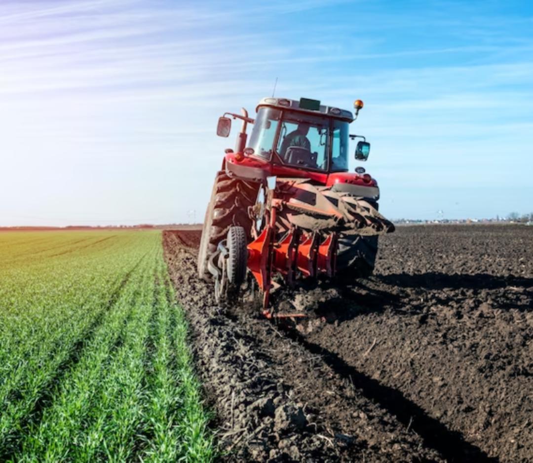 Farm Image 1